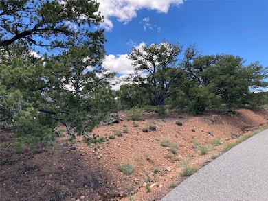 215 Double Arrow Rd, Santa Fe, NM 87505 - photo 4