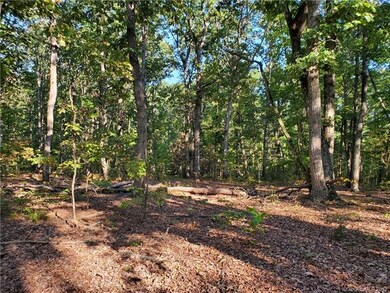 0 Swann Rd, Cool Springs, NC 28625 - photo 2