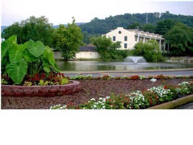 Pond