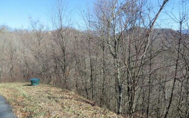 Additional View