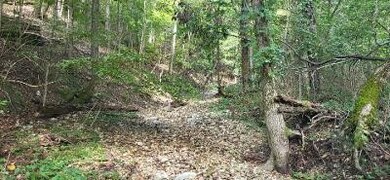 TBD Saint Simons Ln, Eureka Springs, AR 72632 - photo 3