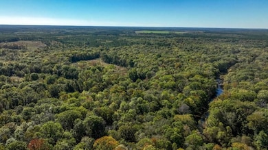 Scarboro Landing, Millen, GA 30442 - photo 7