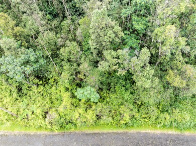 0 Lehua Rd unit 715481, Pahoa, HI 96778 - photo 5