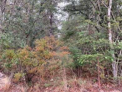 C-2 Louisiana 445, Robert, LA 70455 - photo 5