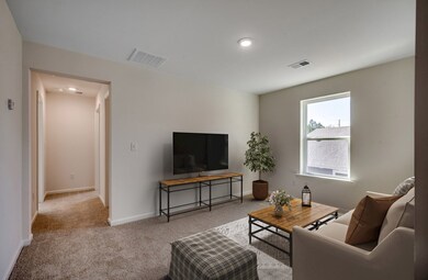 Iris Loft