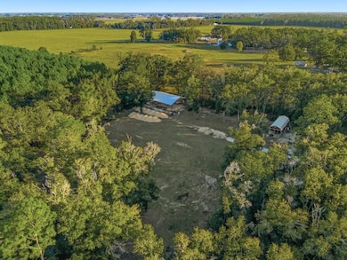 0000 NW 60th Ave, Chiefland, FL 32631 - photo 6