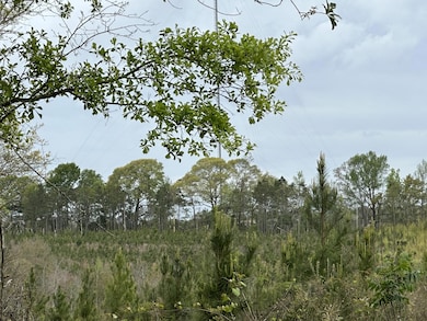 Tract#6103 E Lloyd Mill Rd, Other, AL 00N/A - photo 2