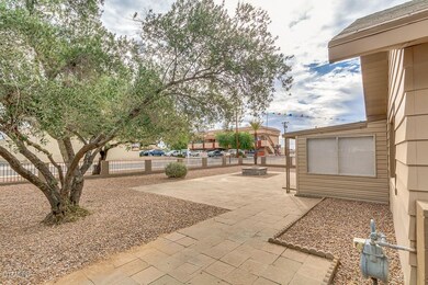 04-Ocotillo