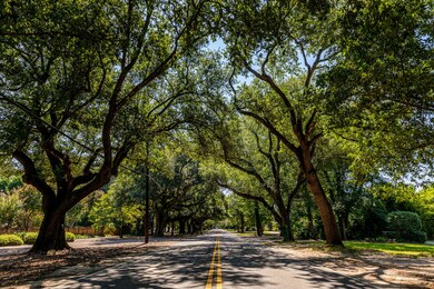 South Boundary Street - Aiken 000