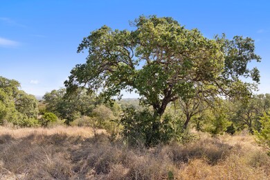 1301 Rm 2147, Marble Falls, TX 78654 - photo 4
