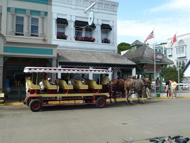 Summer carriage tour