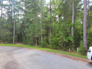 Lot 13 front of lot showing width.