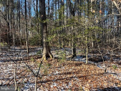0 Roderick Place unit VALA2009036, Mineral, VA 23117 - photo 3