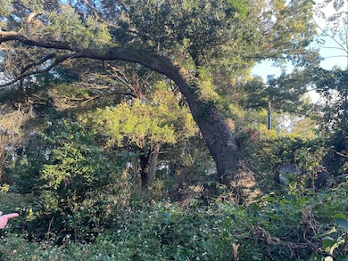 7690 Toogoodoo Rd, Hollywood, SC 29449 - photo 4