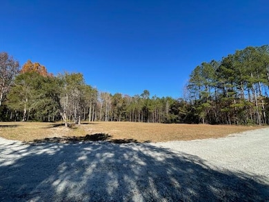 608 Bc Estates Ln, Cross, SC 29436 - photo 3