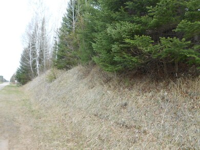 000 Polar Rd, Bryant, WI 54418 - photo 3