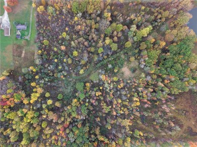 40 Bradley Brownlee Rd, Cortland, OH 44410 - photo 4