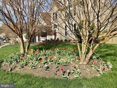 13031 Torchlight Dr, Woodbridge, VA 22193 - photo 3