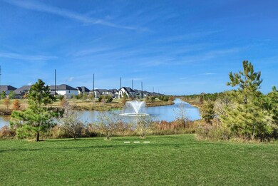 5403 Holly Haven Ct, Fulshear, TX 77441 - photo 6