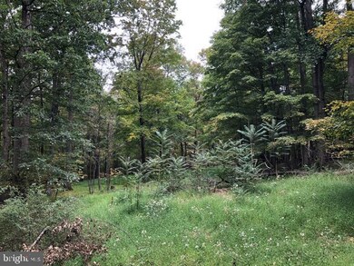 LOT 26D Cove Run Acres Dr, Mathias, WV 26812 - photo 7