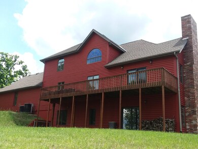 Back view
