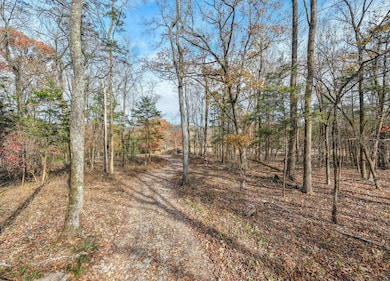 1511 Belotes Ferry Rd, Lebanon, TN 37087 - photo 4