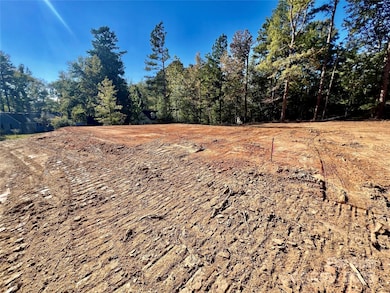 0 Watson Dr unit 39, Lancaster, SC 29720 - photo 6