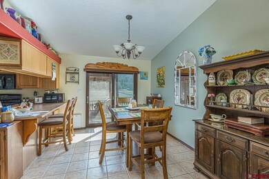 1113 Long Hollow Cir, Durango, CO 81301 - photo 4