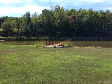 Yard Stocked Pond with dock