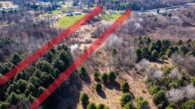 5.01 acres of wilderness, trails, and a small pond