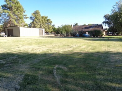 Backyard 3