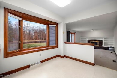 43401 Peck Wadsworth Rd, Wellington, OH 44090 - photo 6