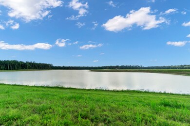 14304 W Pine Heart Dr, Conroe, TX 77302 - photo 3