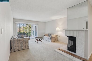 2666 Saklan Indian Dr unit 2, Walnut Creek, CA 94595 - photo 6