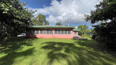 960 km 3.2 Lot A Bo Guzman Arriba, Rio Grande, PR 00745 - photo 4