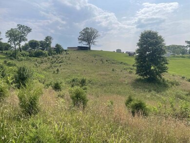 Tract 17A Billy Herold Johnson Subdivision, Albany, KY 42602 - photo 4