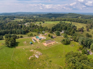 49 Pinnacle Ln, Meadows of Dan, VA 24120 - photo 3