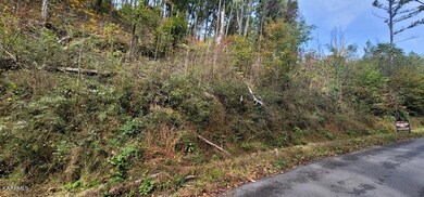 245604_7 (1)