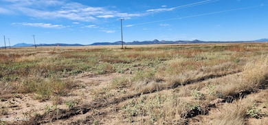 475 W Guymas Trail, Paulden, AZ 86334 - photo 7