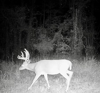 4245 Goodwater Rd, Eagletown, OK 74734 - photo 6