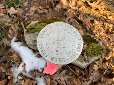 0 S27 T25 R4 unit 19084386, Poplar Bluff, MO 63901 - photo 4