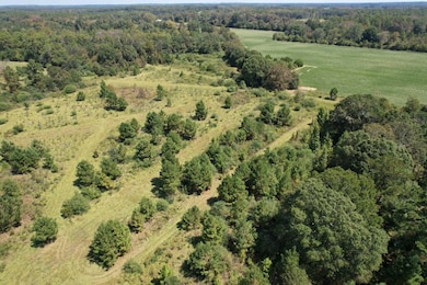 0 Hwy 277 unit 11615290, Graceville, FL 32440 - photo 3