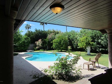 pool and yard from ramada