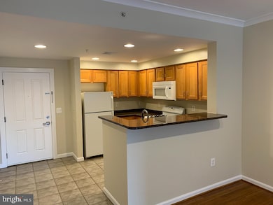 4490 Market Commons Dr unit 411, Fairfax, VA 22033 - photo 5