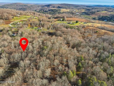 101 Delaware Dr, Damascus Township, PA 18415 - photo 7