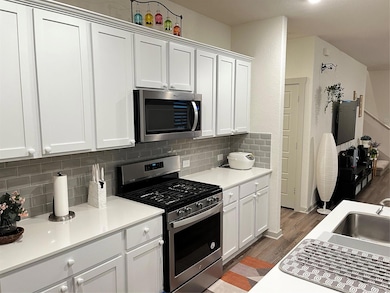 13900 Sage Blossom Dr, Manor, TX 78653 - photo 7