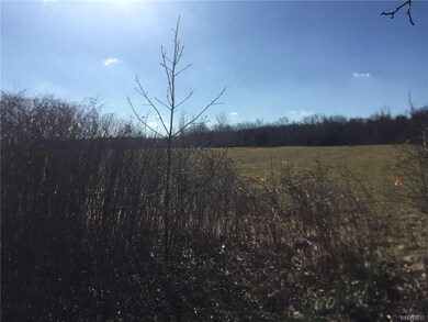 pasture from rd