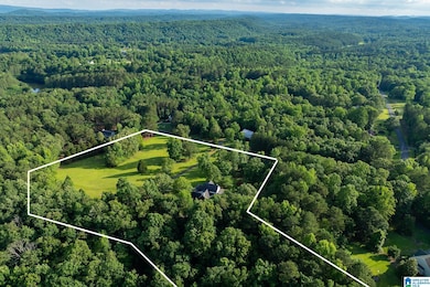 295 Ridge View Way, Springville, AL 35146 - photo 7