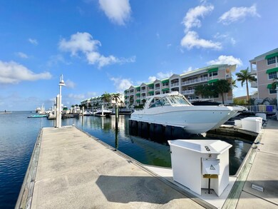 Grouper Pier  8