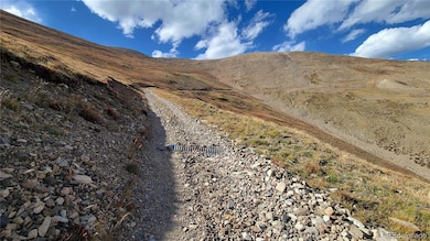 MS #17664- Last Rose Barry Lyndon Rory Omore - 66 66%, Alma, CO 80420 - photo 2